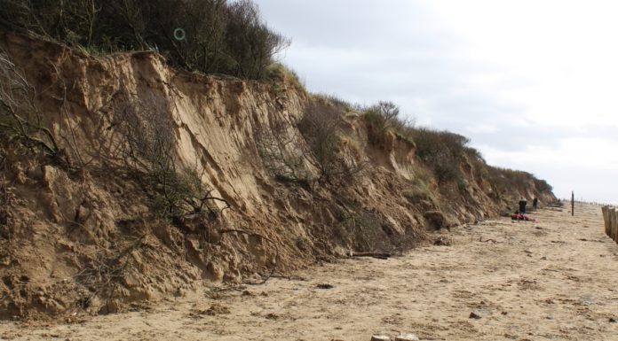 Berrow Beach sand dunes