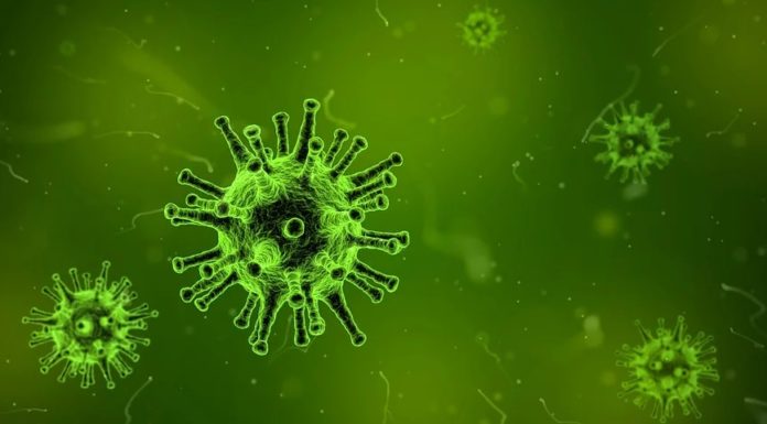 coronavirus