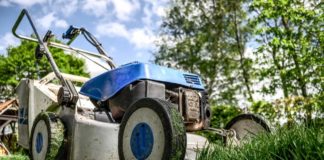 grass cutting