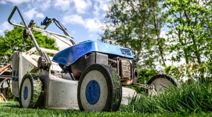grass cutting
