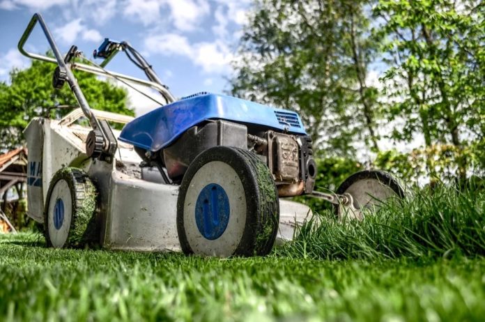 grass cutting grass cutting