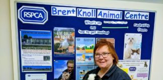 Fundraiser for RSPCA North Somerset Branch by Nikki Tutton