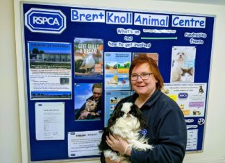 Fundraiser for RSPCA North Somerset Branch by Nikki Tutton