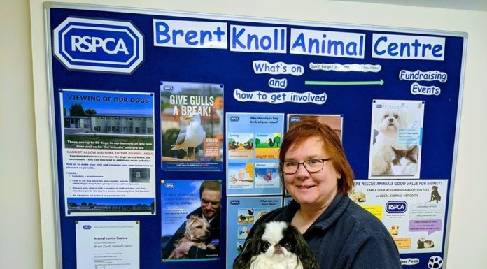 Fundraiser for RSPCA North Somerset Branch by Nikki Tutton