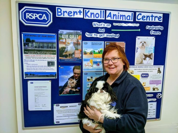 Fundraiser for RSPCA North Somerset Branch by Nikki Tutton