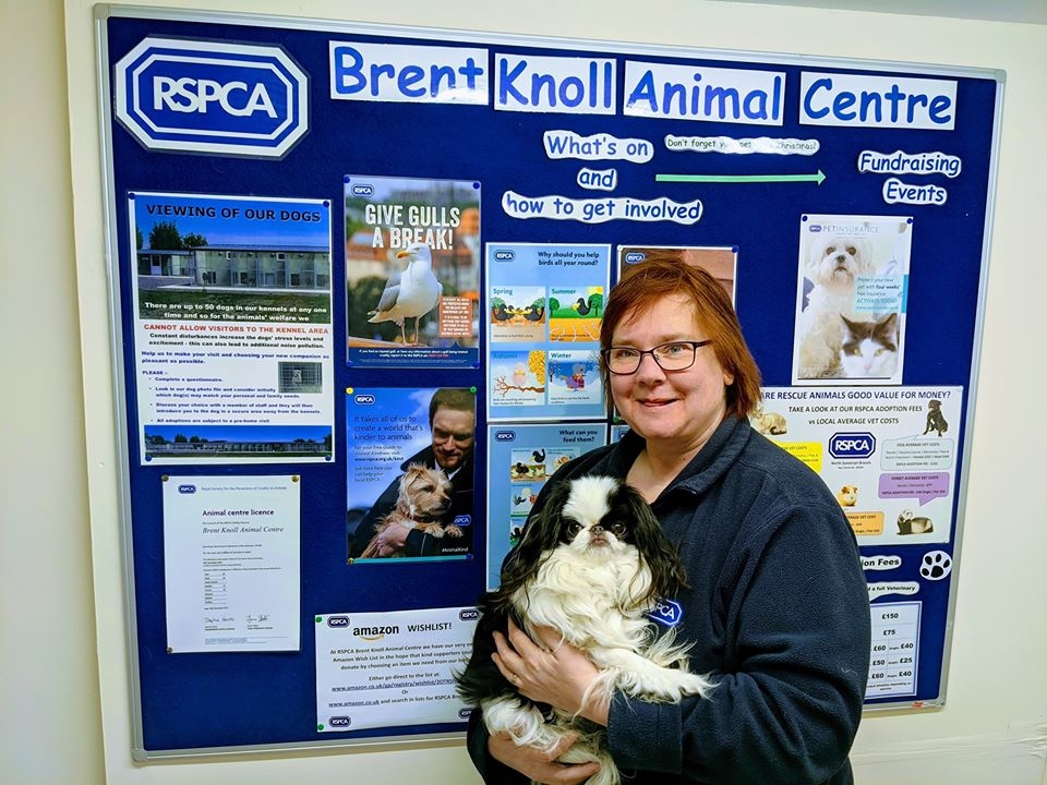 Brent Knoll animal centre manager aims to raise £3,000 for RSPCA with head  shave
