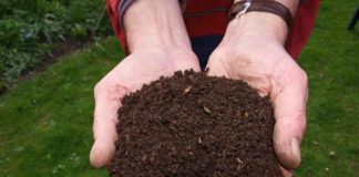 garden soil