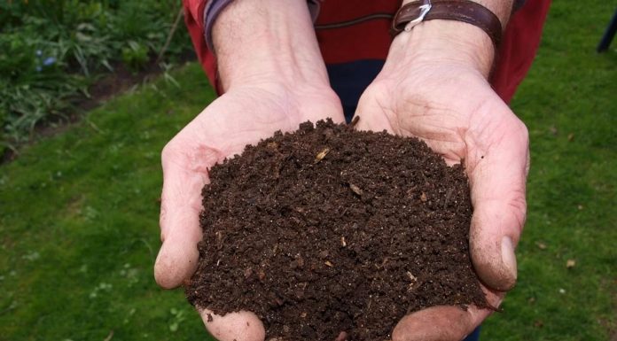 garden soil