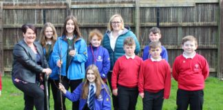 Tree planting in schools