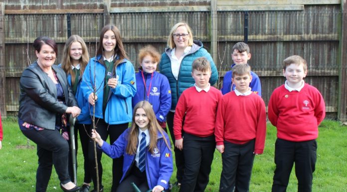 Tree planting in schools