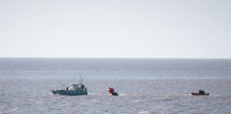 Buoy retrieved from Stert Island