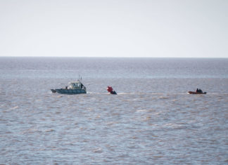 Buoy retrieved from Stert Island