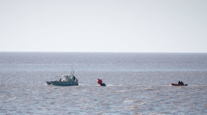 Buoy retrieved from Stert Island