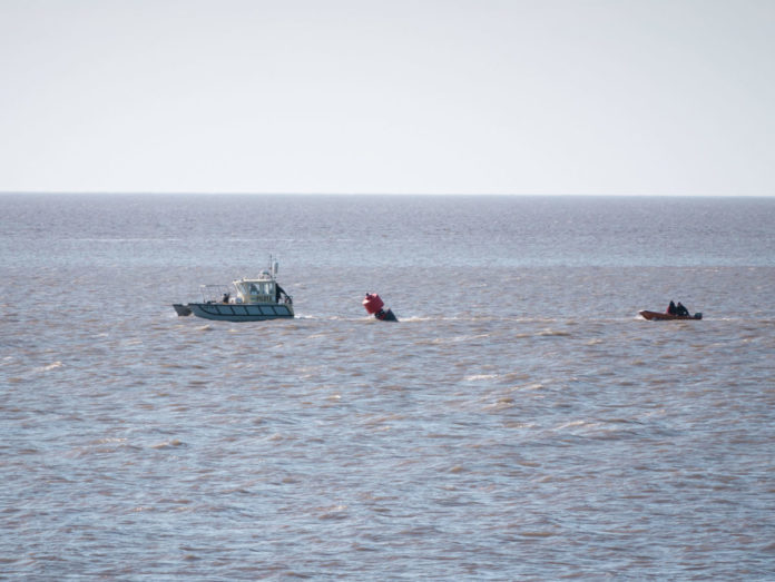 Buoy retrieved from Stert Island