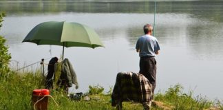 Fishing at Apex Park Highbridge