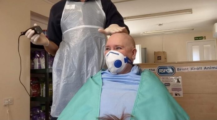 Brent Knoll RSPCA head shave