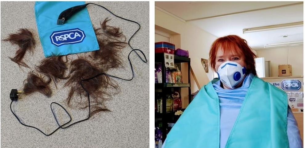 Brent Knoll RSPCA head shave