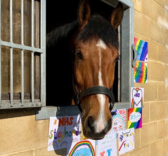 Avon and Somerset Police horse Hero