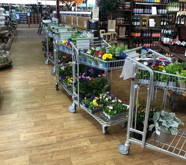 Brent Knoll's Sanders garden centre busy with deliveries during Coronavirus outbreak