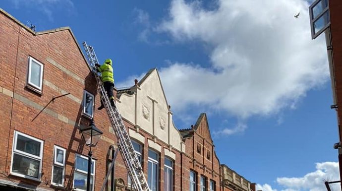 Burnham-On-Sea fire crew rescues seagull trapped in netting