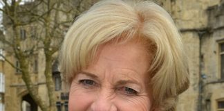 Annie Maw, Lord-Lieutenant of Somerset i