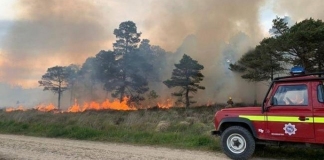 Burnham-On-Sea firefighters assist crews tackling big forest fire in Wareham, Dorset