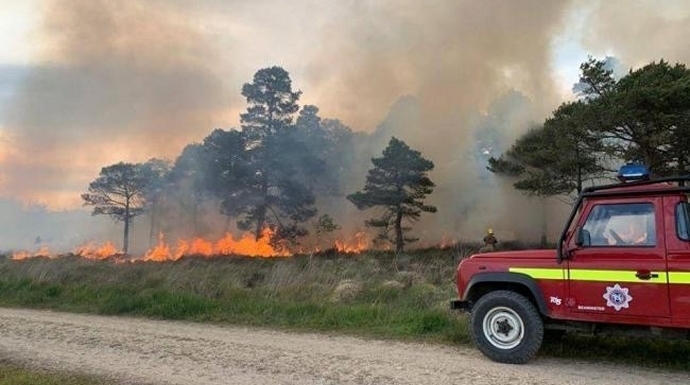 Burnham-On-Sea firefighters assist crews tackling big forest fire in Wareham, Dorset