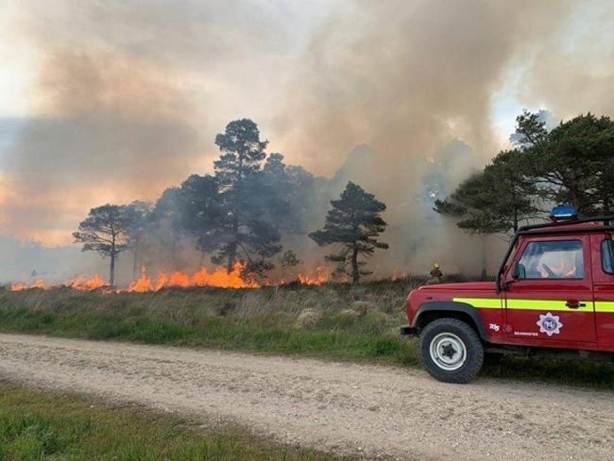 Burnham-On-Sea firefighters assist crews tackling big forest fire in Wareham, Dorset