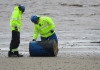 Barrels washed up on Burnham-On-Sea beach