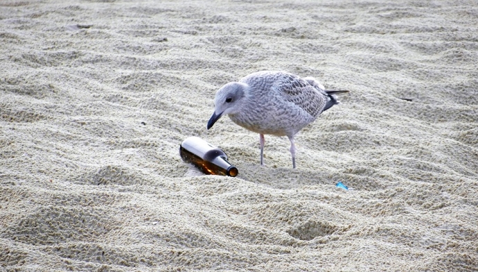 RSPCA issues litter warning