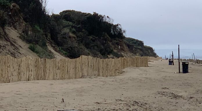Berrow dunes fencing