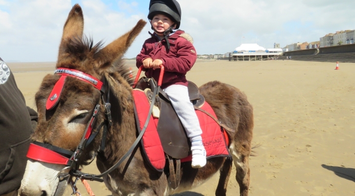 Burnham-On-Sea beach donkeys