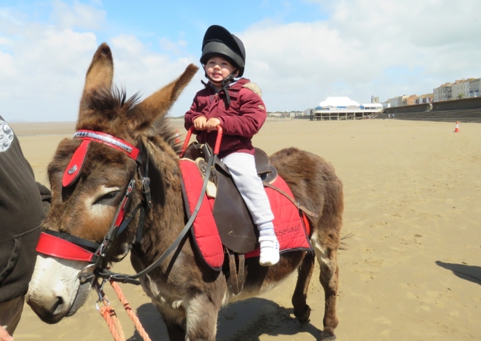 Burnham-On-Sea beach donkeys
