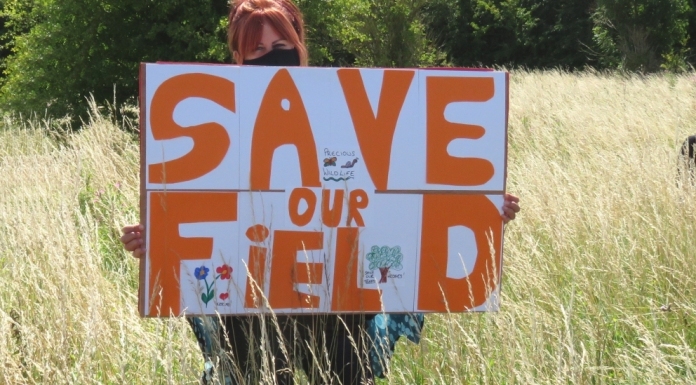 Dozens of residents protest against plans to sell Highbridge field