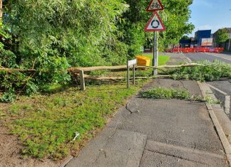 Tree brought down by high winds in Highbridge