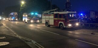 Burnham-On-Sea Rosewood Pub fire