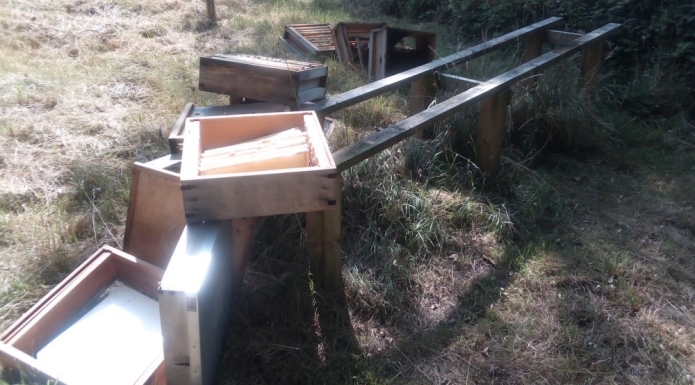 Bee hive damaged by vandals in Brean