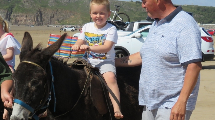 Brean beach donkey rides