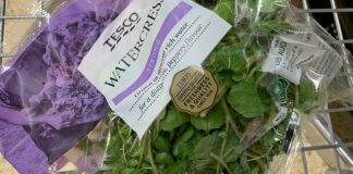 Locust found in bag of watercress at Burnham-On-Sea Tesco store