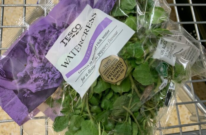 Locust found in bag of watercress at Burnham-On-Sea Tesco store