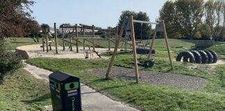Children's sand pit at Apex Park in Highbridge to be cordoned off due to bees colony