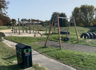 Children's sand pit at Apex Park in Highbridge to be cordoned off due to bees colony