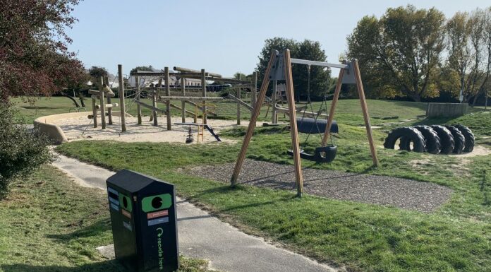 Children's sand pit at Apex Park in Highbridge to be cordoned off due to bees colony