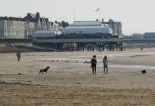 Burnham-On-Sea beach dog walkers
