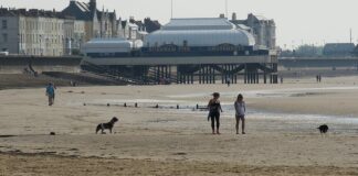 Burnham-On-Sea beach dog walkers