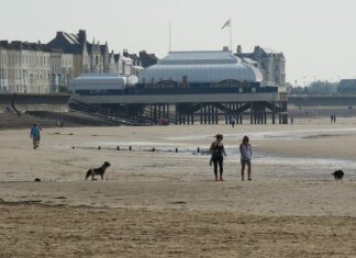 Burnham-On-Sea beach dog walkers