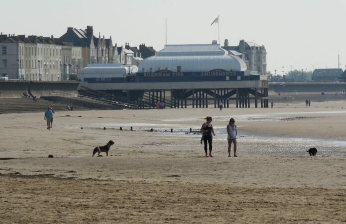 Burnham-On-Sea beach dog walkers