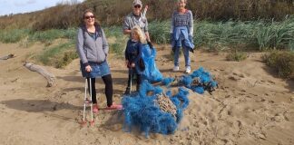 Friends of Berrow Beach
