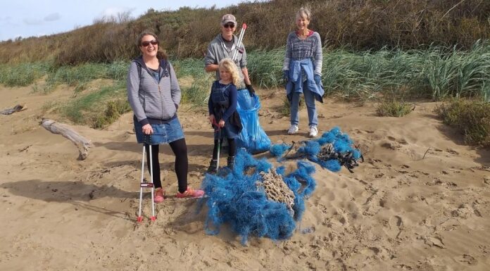 Friends of Berrow Beach
