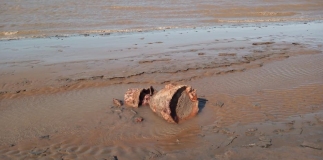 Torpedo found on Somerset beach